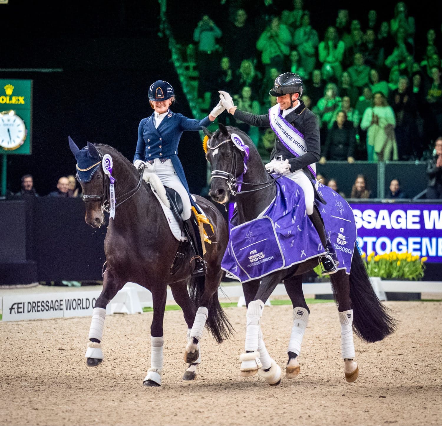 Dressage horse and rider performing
