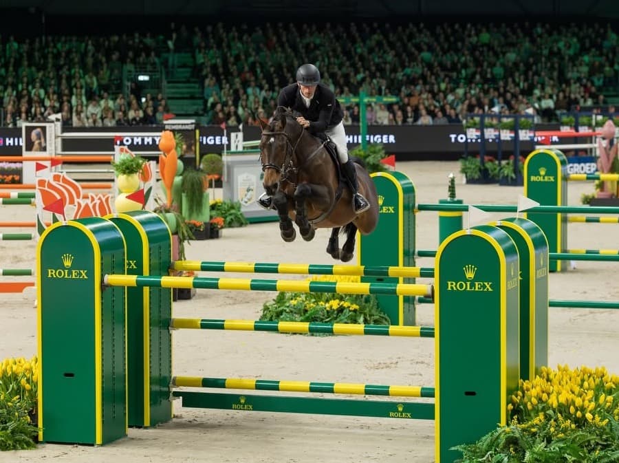 Show jumping horse training